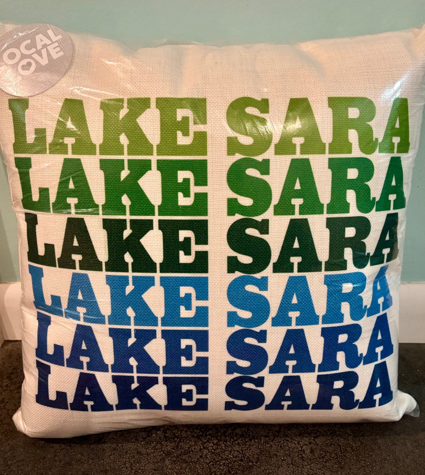 Lake Sara Square Pillow